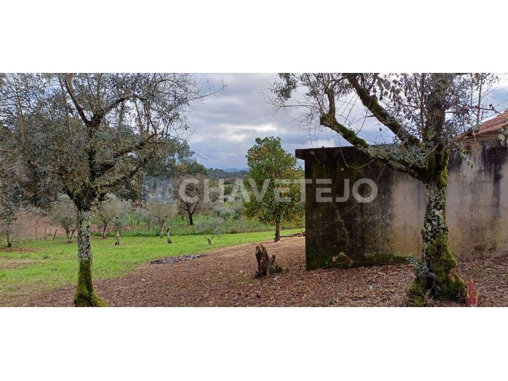 Casa Antiga Com Arrecadação e Terreno Para Recuperar, Cernache do B...-26