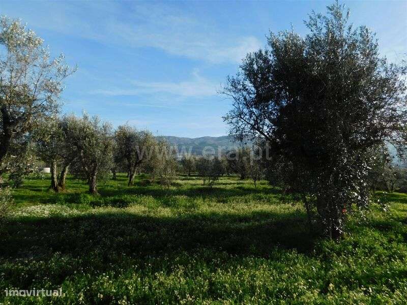 Terreno Rústico / Gouveia, Lagarinhos - Grande imagem: 2/6