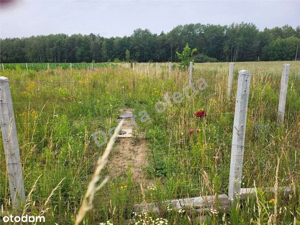 Oferta doskonała dla rodziny-5