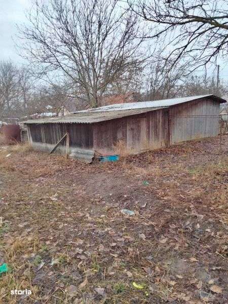 Casa cu 4500 mp teren in Prisacani - Imagine principală: 5/6