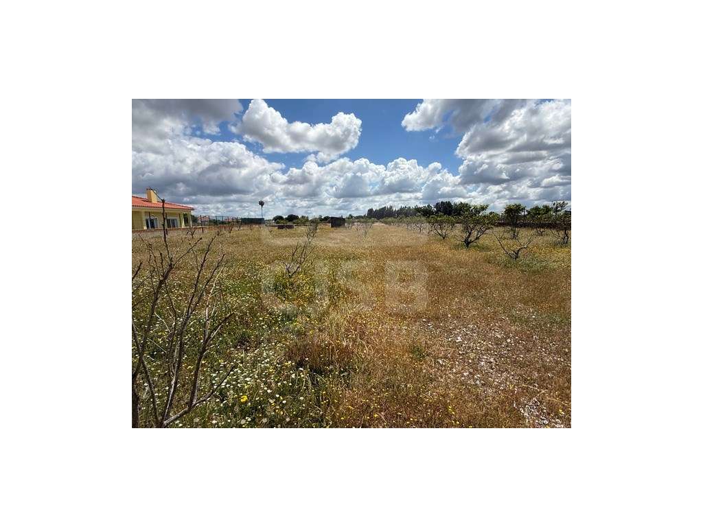 Terreno em Samora Correia-11