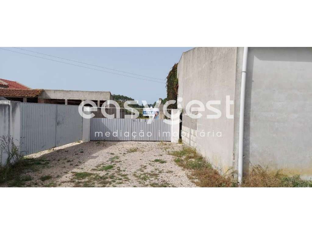 Terreno 3500m2 plano com poço sito em Amor, a poucos kM de Leiria - Grande imagem: 2/13