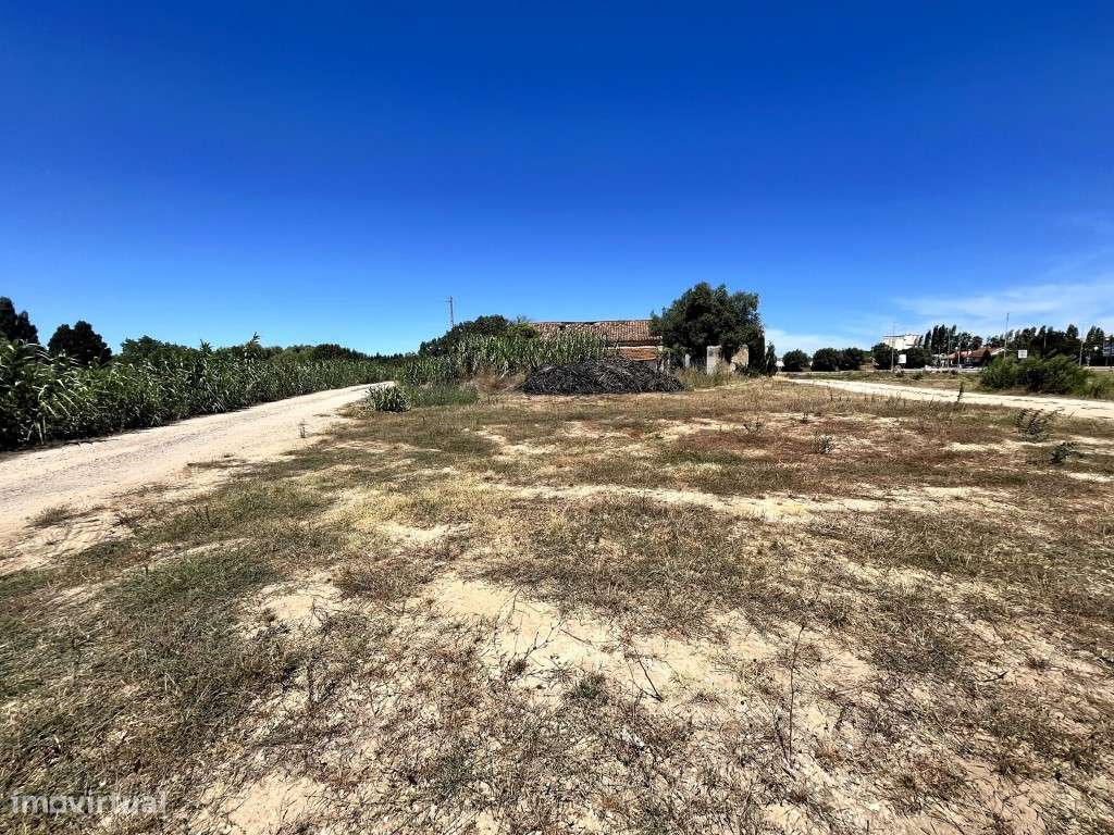 Terreno, em Rio Maior - Grande imagem: 5/11