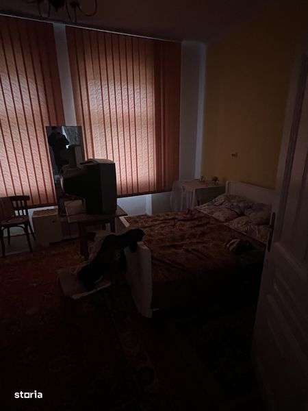 Casa individuala 5 camere/ 1.439mp , curte, mobilata, Sintesti Timis - Imagine principală: 5/7