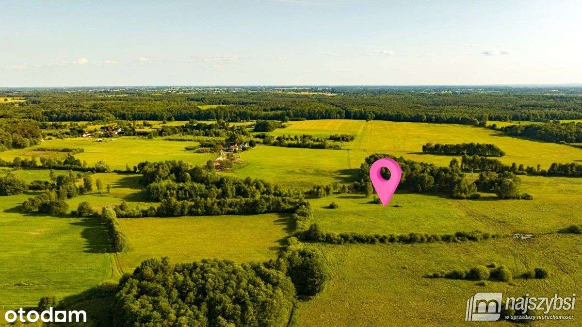 Godowo - gmina Maszewo - działka inwestycyjna - Pełny obrazek: 5/10