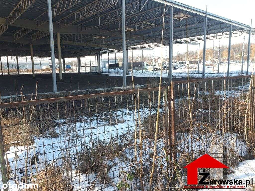 Lokal użytkowy, 15 900 m², Wodzisław Śląski - Pełny obrazek: 4/7