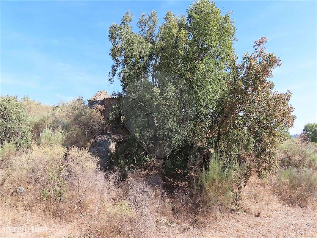 Quinta  para venda-15