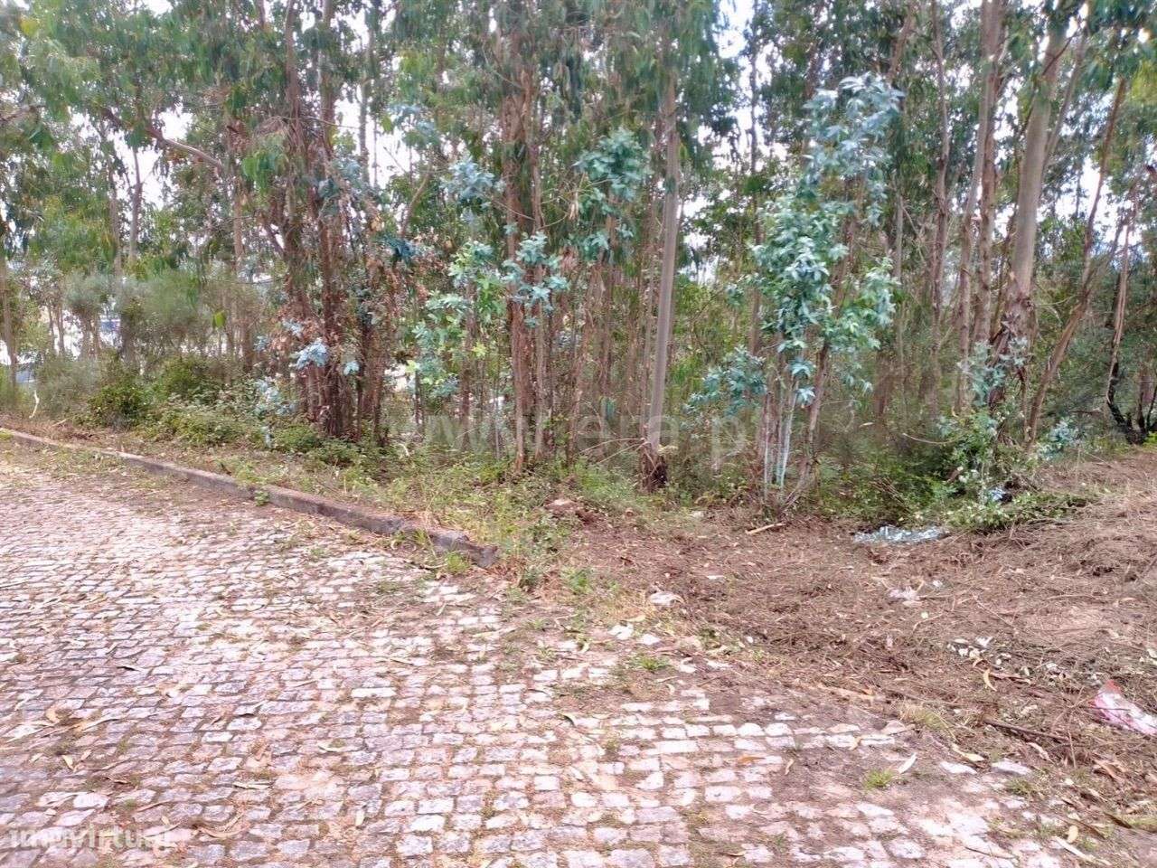 Terreno para construção em Rebordosa - Paredes - Grande imagem: 4/6