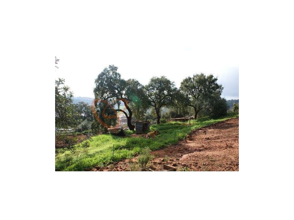 Terreno para venda com viabilidade de construção, Algarve. - Grande imagem: 5/7