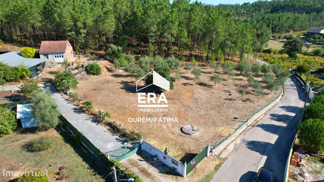 Moradia T3 implantada num terreno com 3.855m2 em Casal Domingos João-26