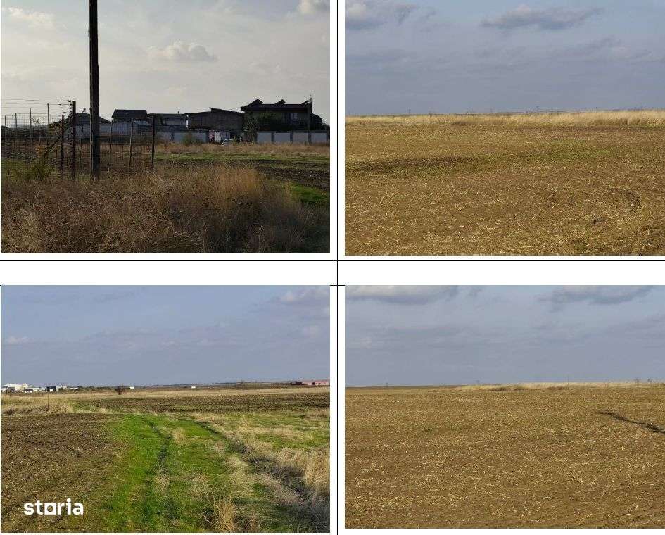 Teren Loc. Pielesti,  Jud Dolj-0