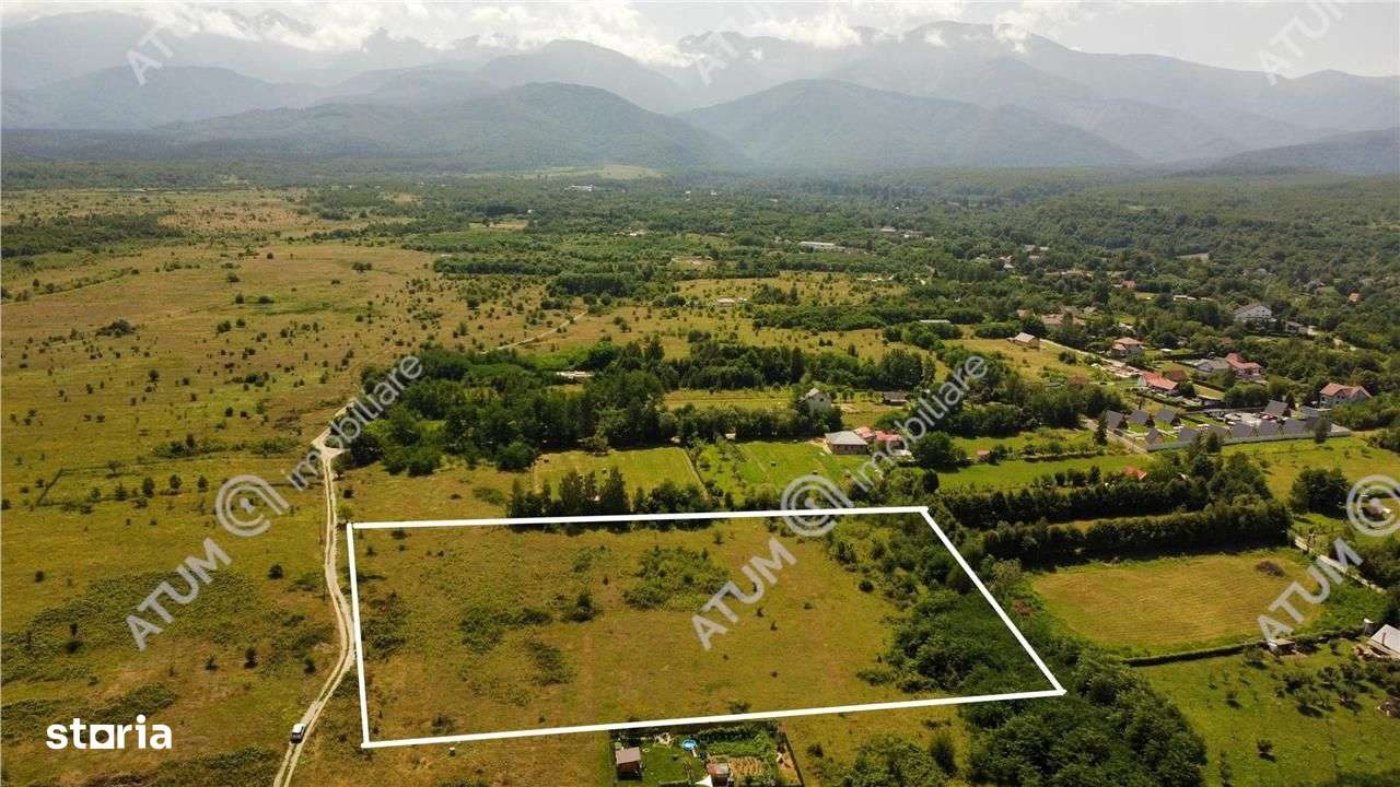 Teren intravilan de vanzare in Avrig zona Valea Avrigului - Imagine principală: 3/6