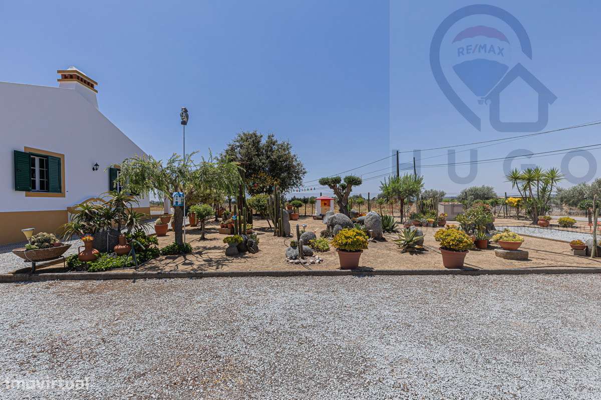 Quinta com 1,425 ha em Redondo-19