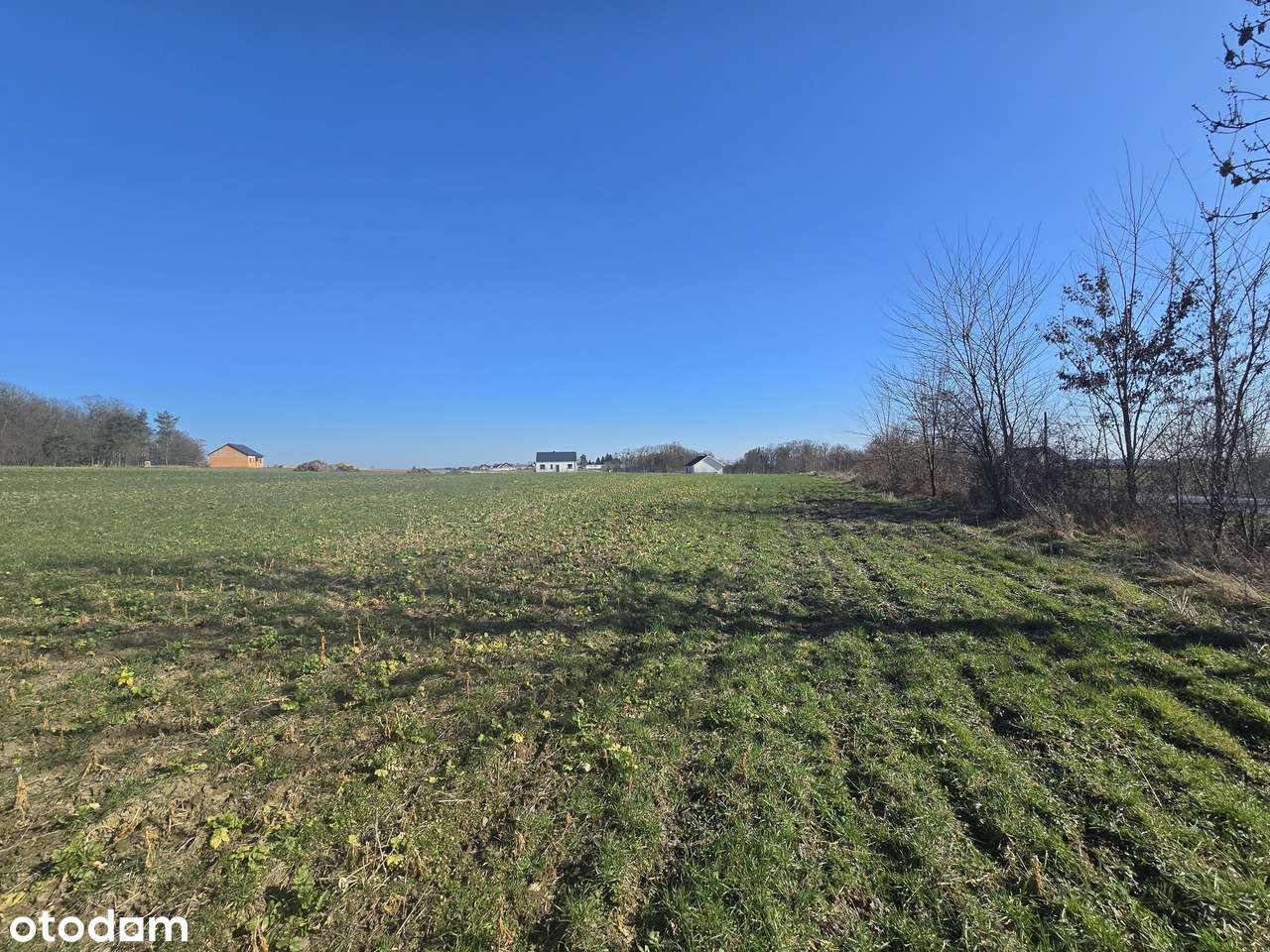 3 z 7 działek budowlanych w Lubiatówku-4