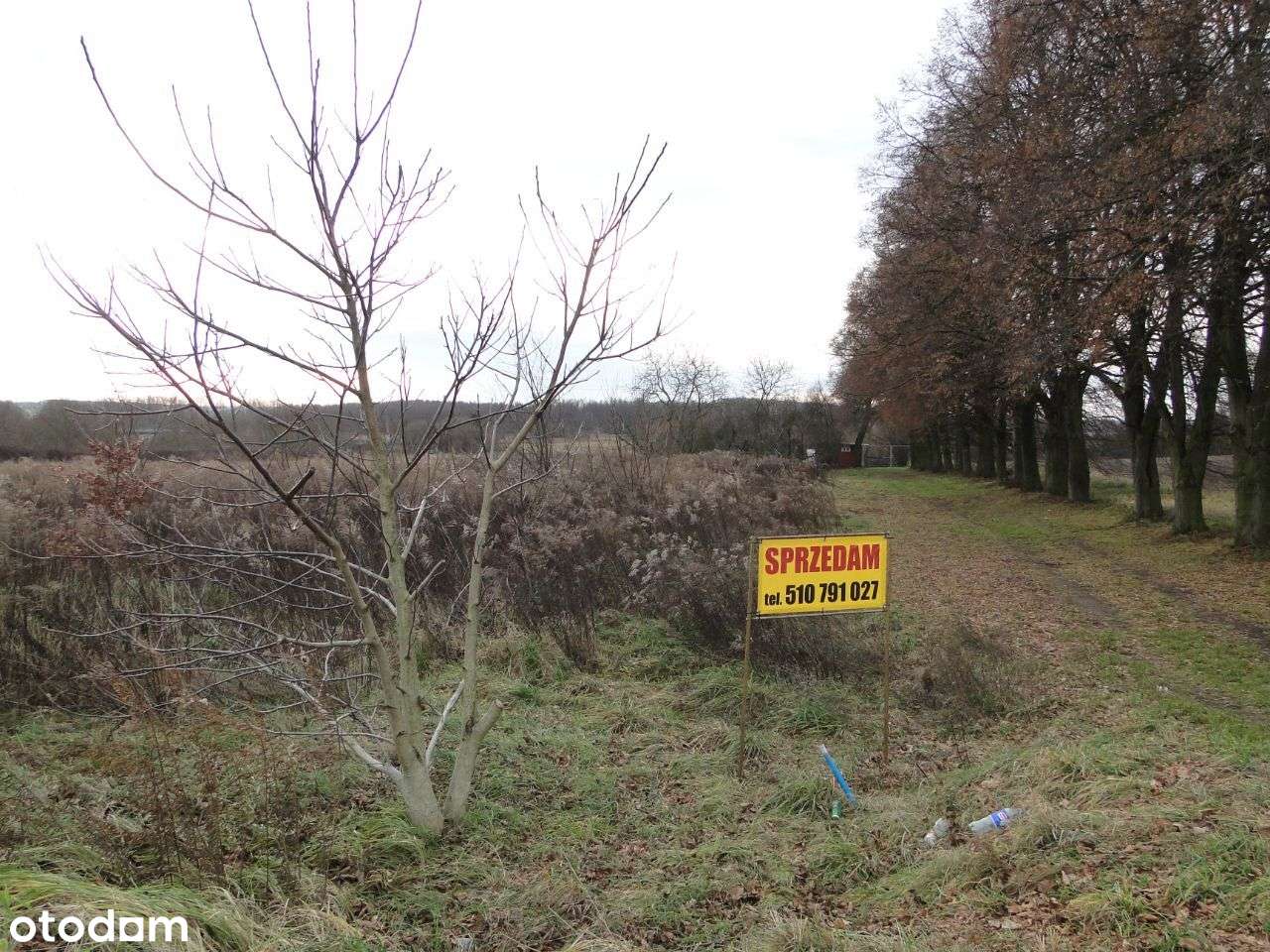 Działka budowlana + duży ogród, blisko centrum