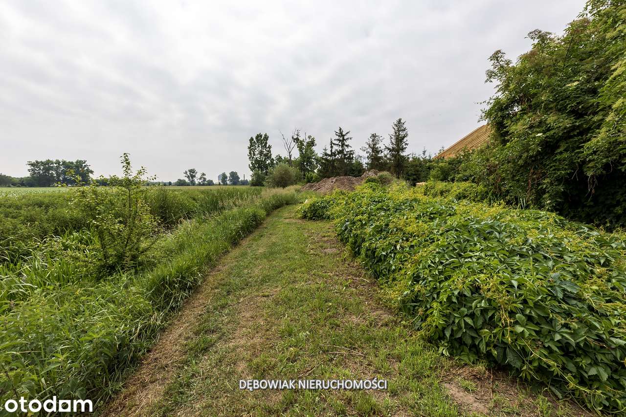 Obszerna działka budowlana blisko Kani-8