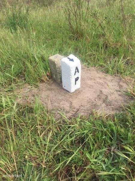 Terreno em Benavente - Grande imagem: 3/4