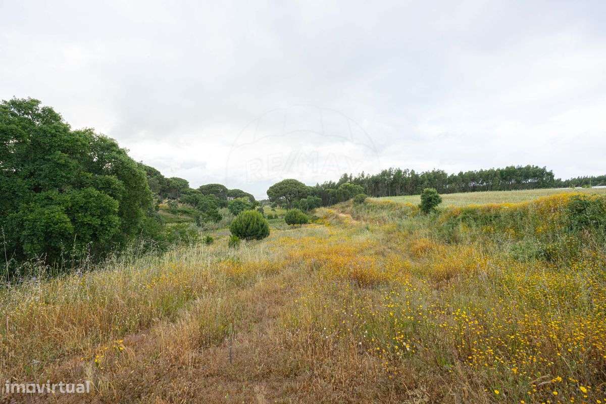 Terreno  para venda - Grande imagem: 4/6