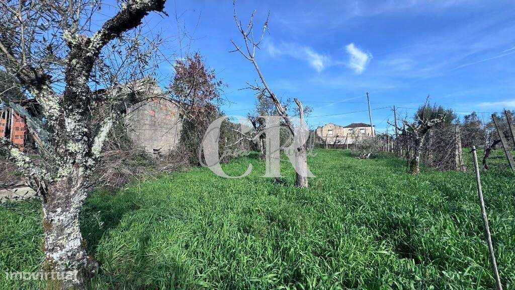 Quinta com casas de pedra para recuperar, poço e furo-25