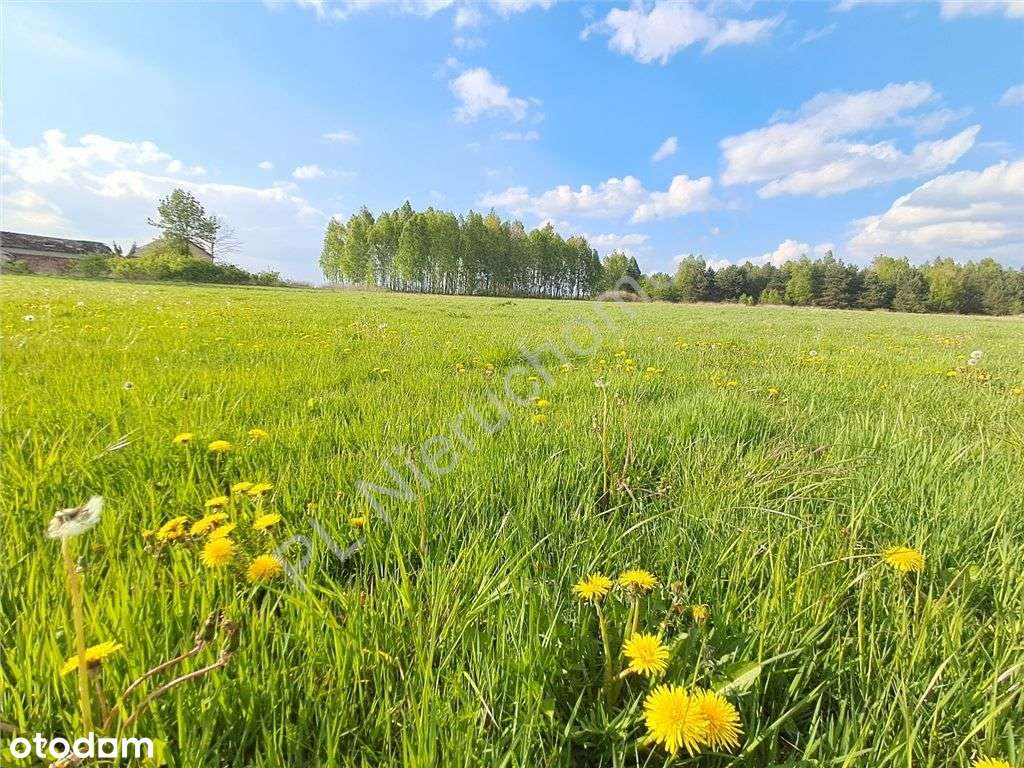 Szybki dojazd S17 lub A2, Spokojna okolica! - Pełny obrazek: 4/6