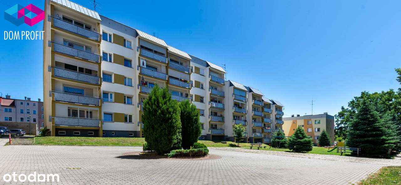 *** Rodzinne centrum dowodzenia *** - Pełny obrazek: 5/20