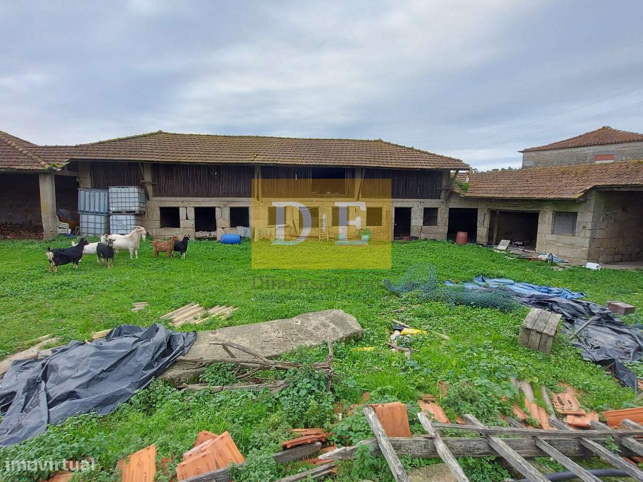 Terreno com Quinta em Fajozes – Vila do Conde-15