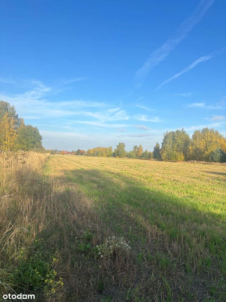 Działka budowlana Wyględy gm. Leszno-1