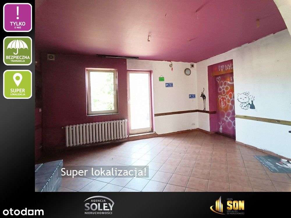 Wolnostojący-Rybnik Gotartowice-super lokalizacja-7