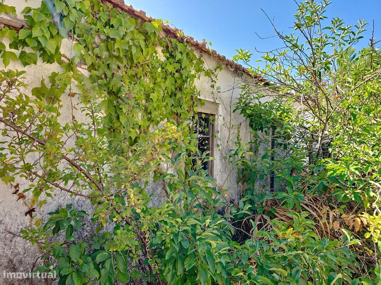 Carvalhal - Pinheiro da Cruz - Terreno de 2.600m2 com Ruínas para Proj - Grande imagem: 3/17