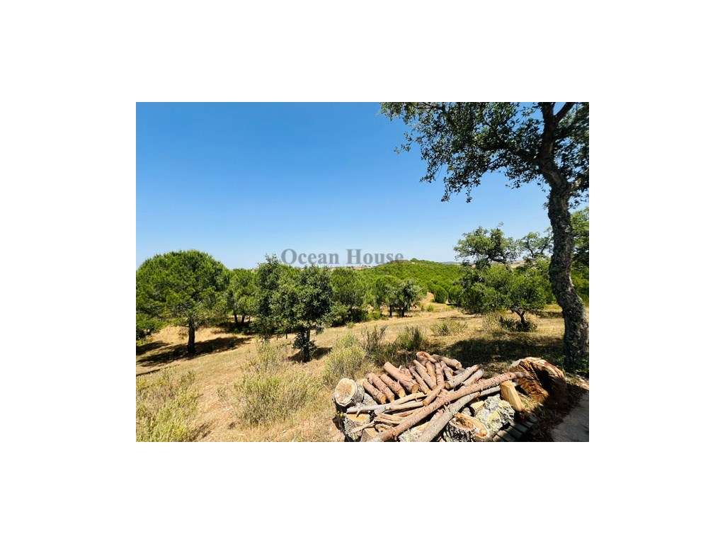 Herdade renovada com 4 quartos e piscina em Ourique.-31