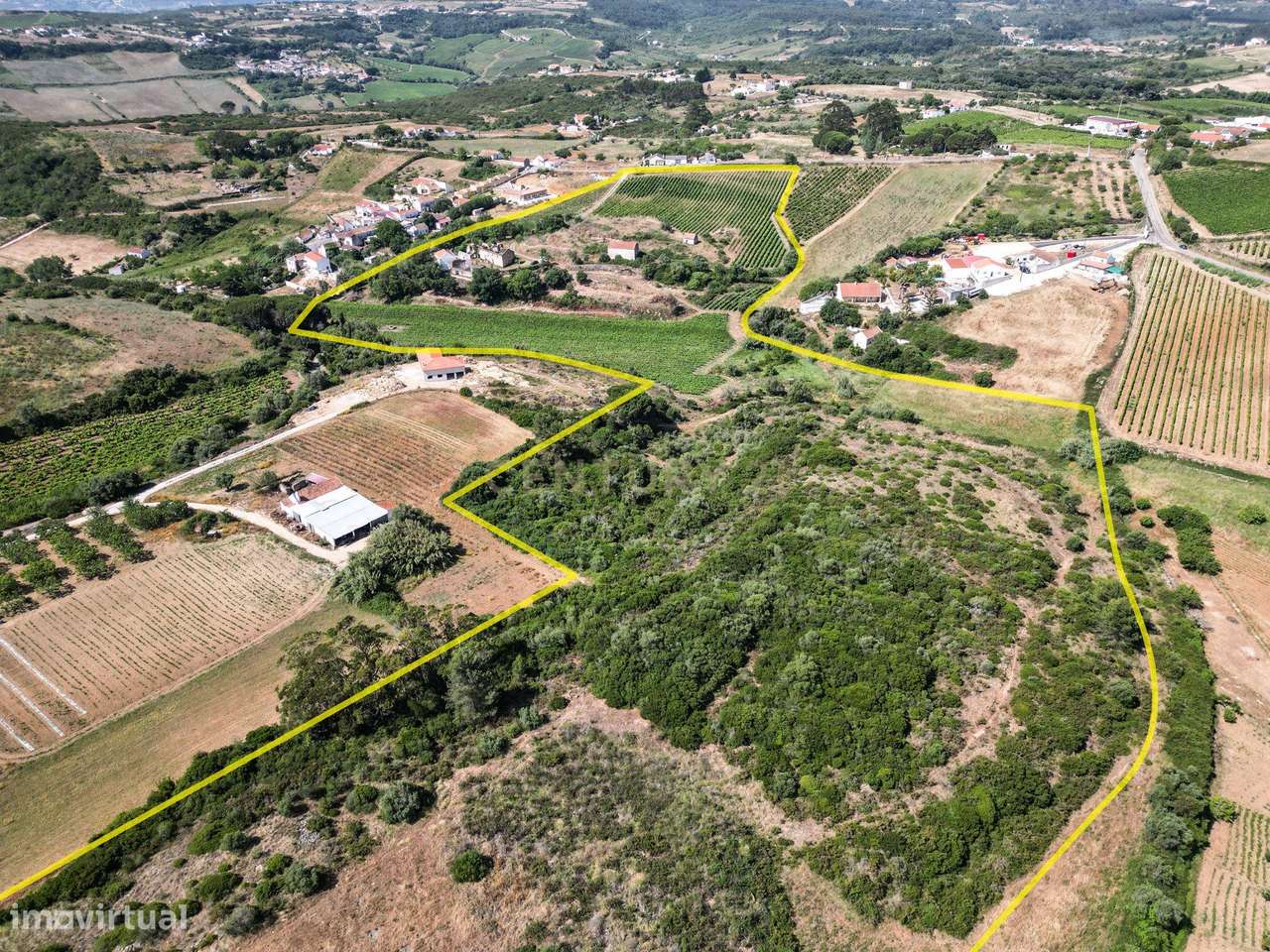 Quinta com 6,2ha Moradia T3 | Vinha e Potencial Turístico - Grande imagem: 4/38