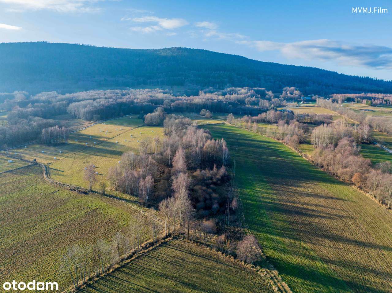Działka 5 000 m² z pozwoleniem na budowę - Wyszki, gm. Bystrzyca Kł.-3