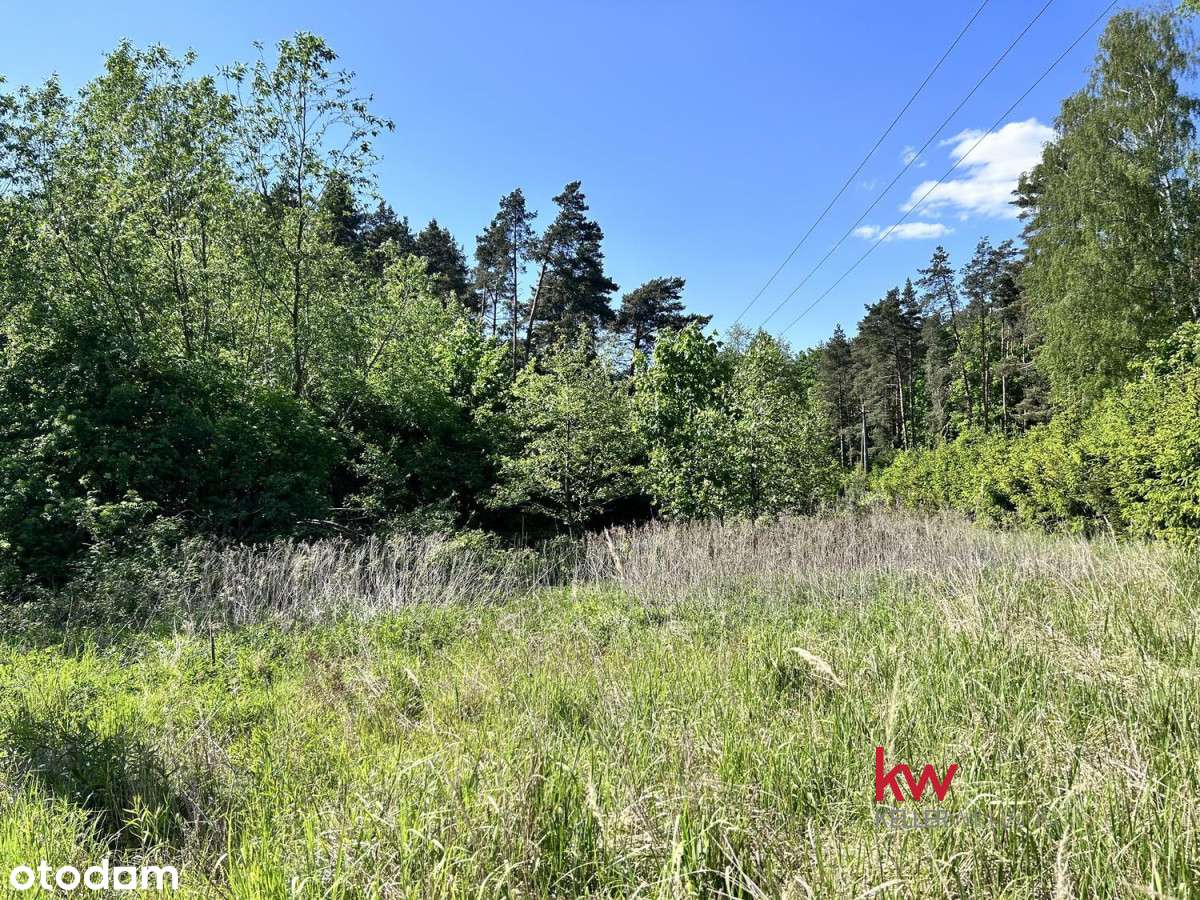 Przepiękna działka w sąsiedztwie lasu - Pełny obrazek: 4/5