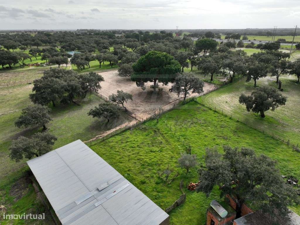 Propriedade Rústica com 11 Hectares junto a Canhestros-24