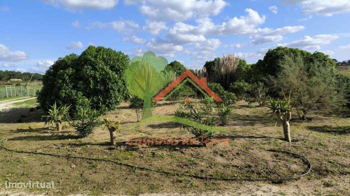 Terreno rústico com vista de mar e casa-9