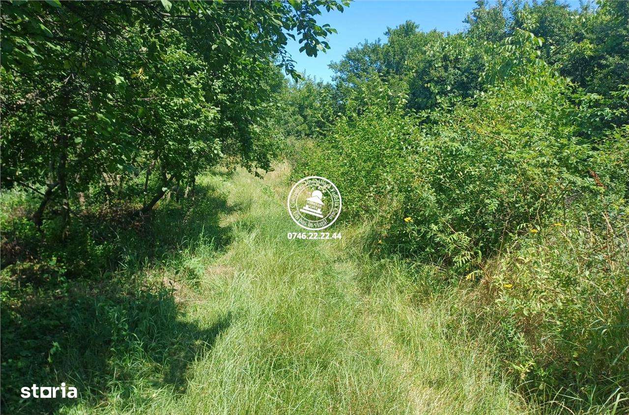 Teren pentru constructii case de vanzare Iasi, Copou - Imagine principală: 5/5
