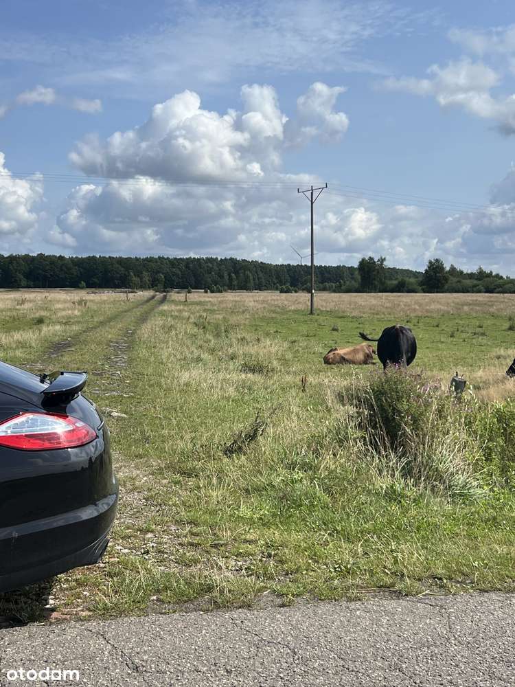 Darłowo/ Krupy dojazd asfaltowy , dojazd do morza, Darłowa 10 minut-3