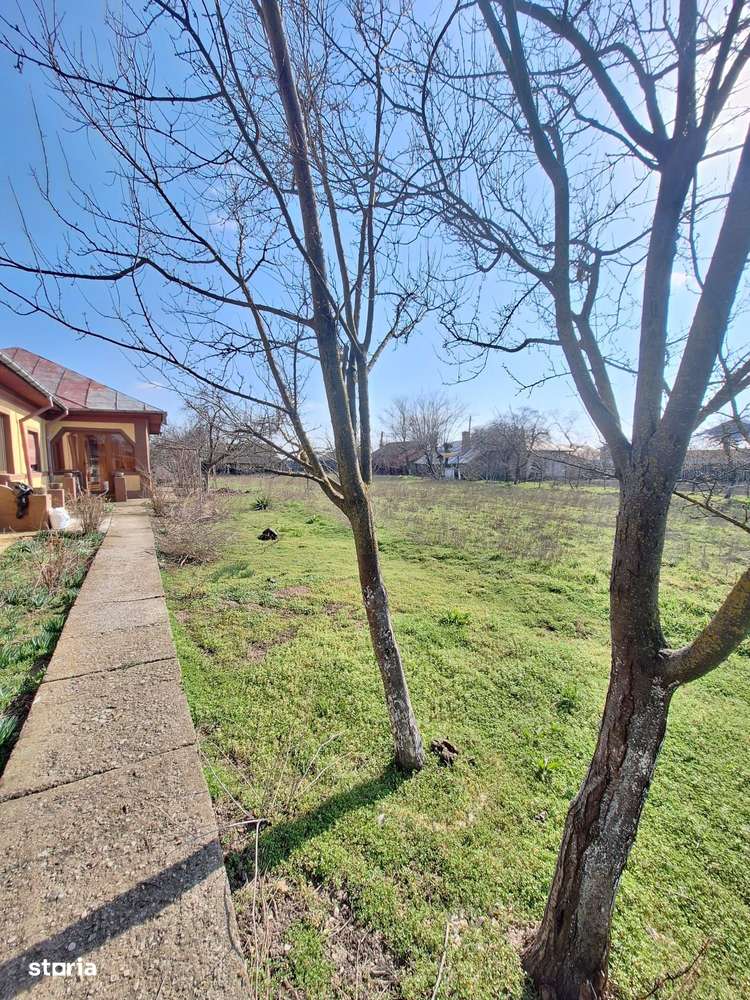 Casa 6 camere Frumusani teren 1341 mp caramida-14