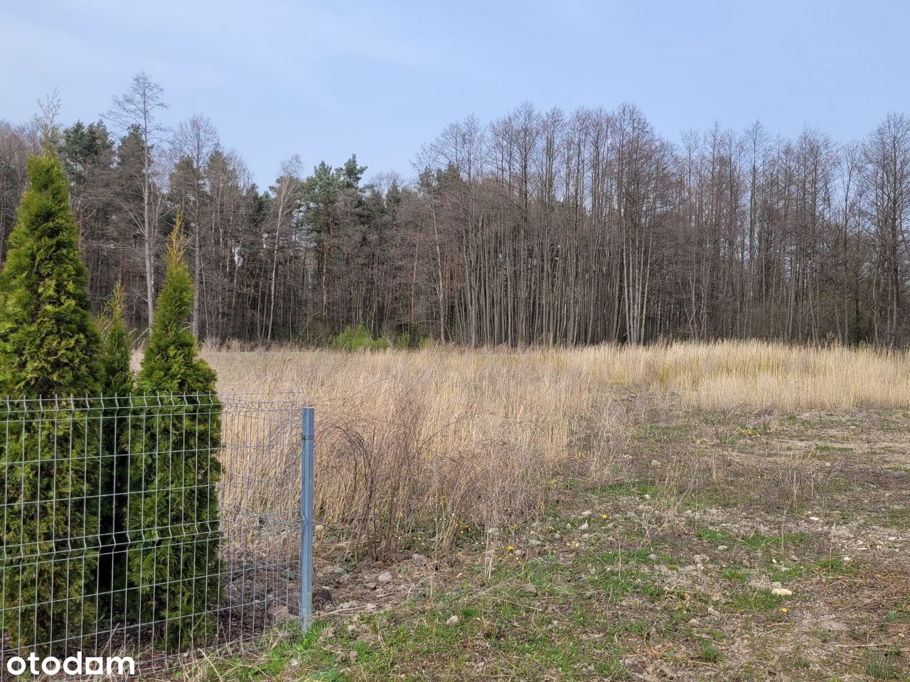 Masłońskie działka budowlana bez pośredników