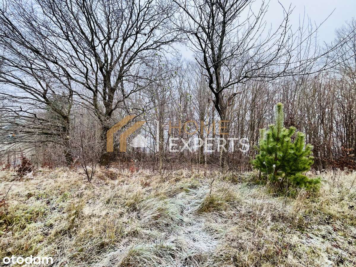 Unikatowa działka nad jeziorem w Warzenku – pierws - Pełny obrazek: 4/17