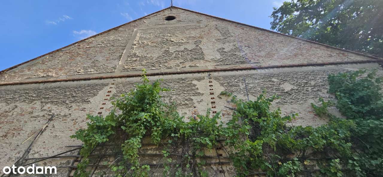 Wierzbice dom do remontu z potencjałem 1650m2 działka możliwa zamiana - Pełny obrazek: 4/16