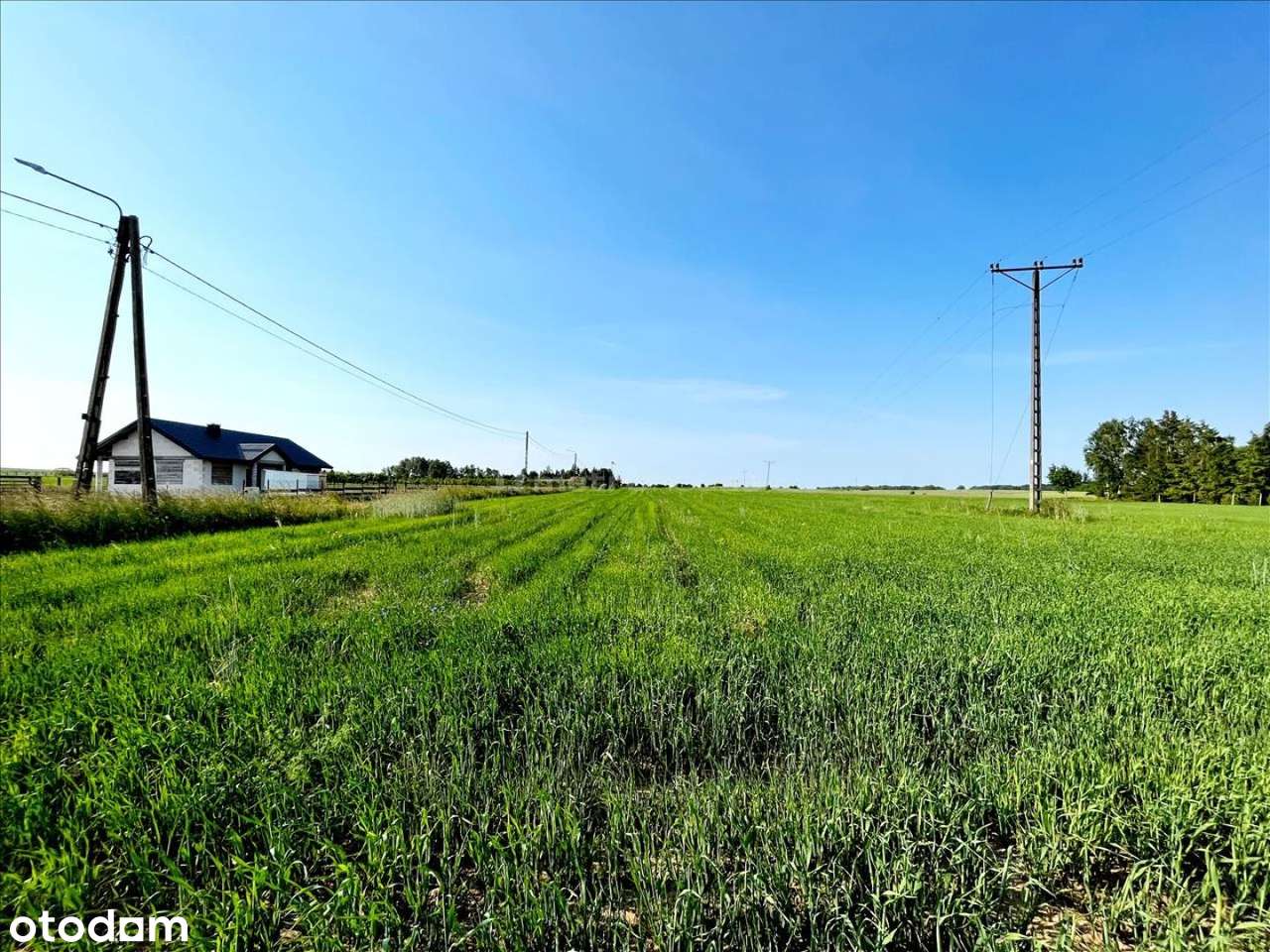 Działka budowlana koło Dygowa blisko Kołobrzegu! - Pełny obrazek: 5/10