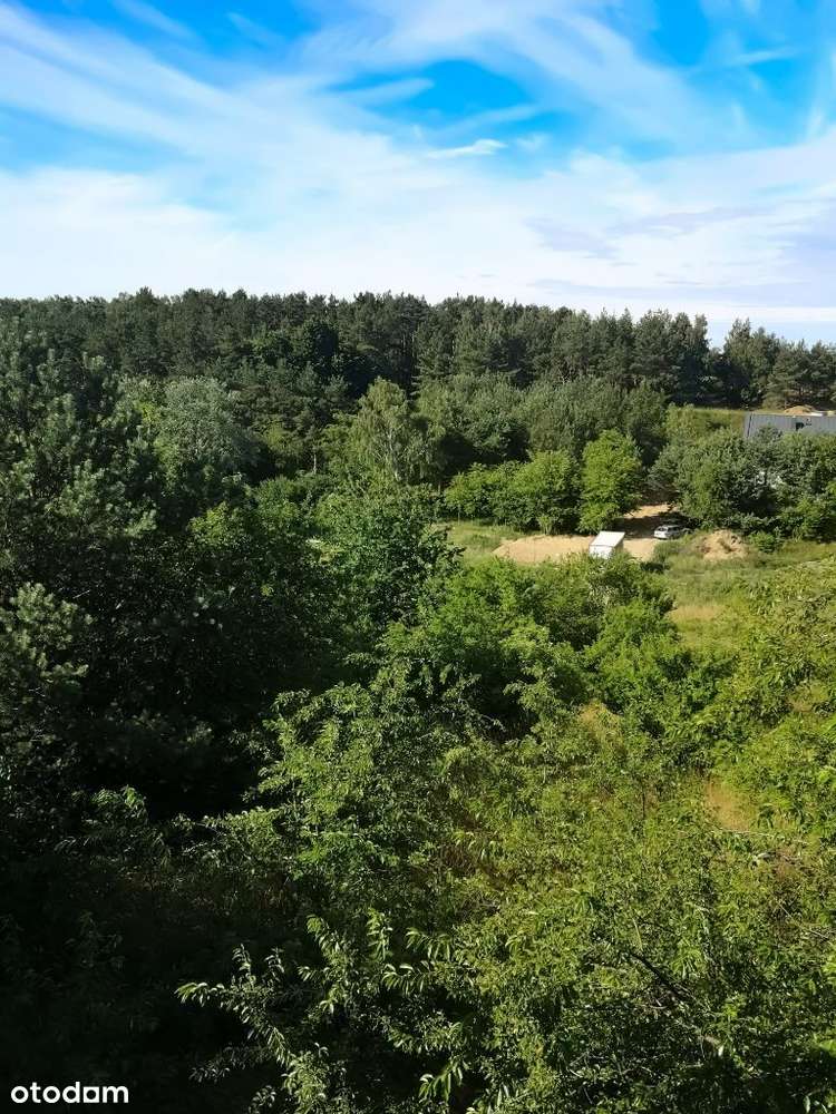 Piękna działka przy lesie i plaży-11
