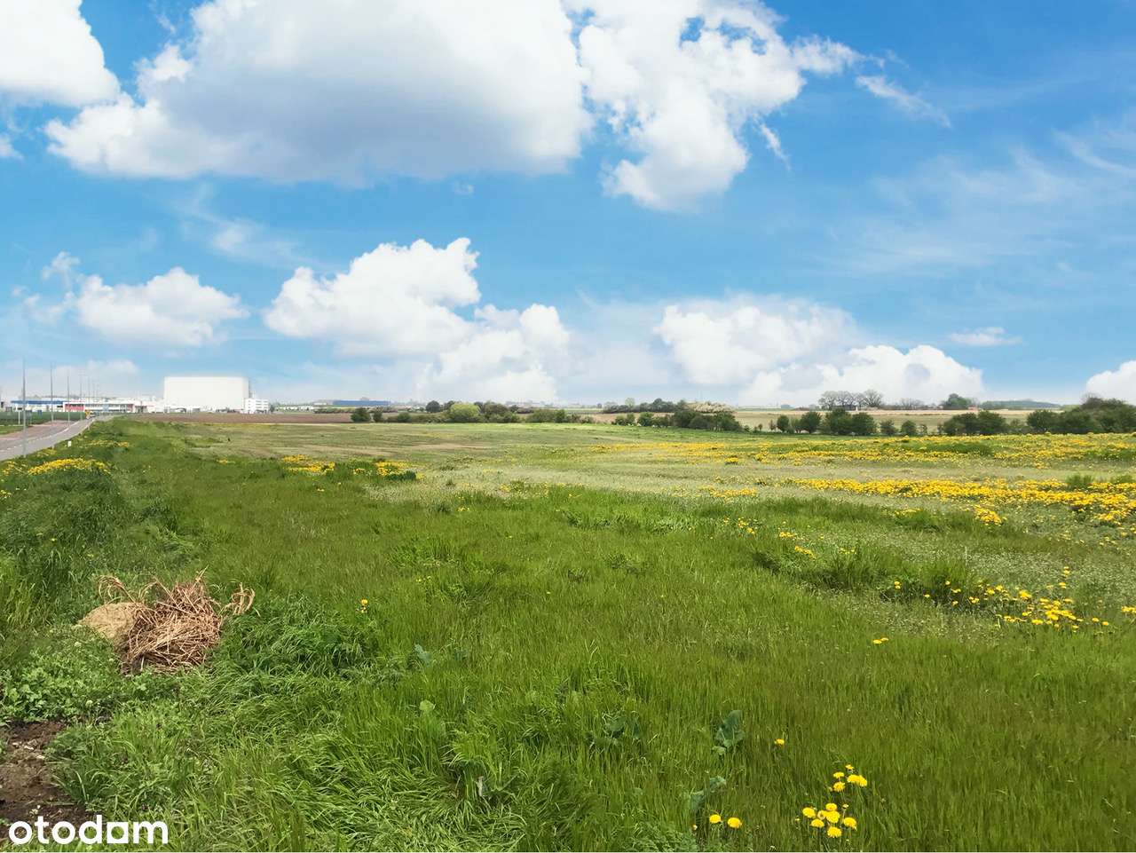 Ostatnie wolne działki! Ulica Zamorska -dz. 258/24 Lusówko-Jankowice-3