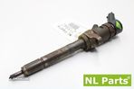 Injector Citroen Peugeot 0445110252 - 1