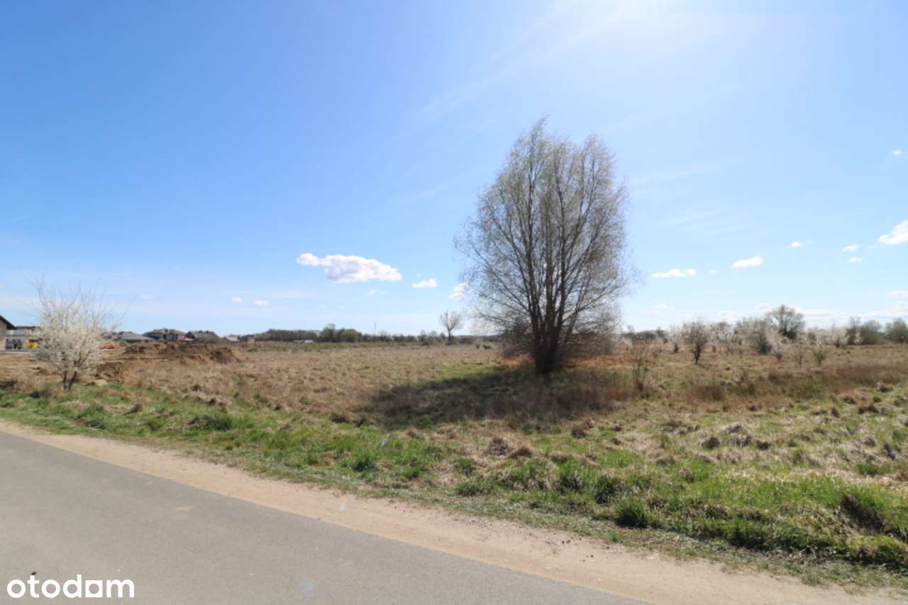 Działki w Słubicach – ul. Jastrzębia - Pełny obrazek: 5/20