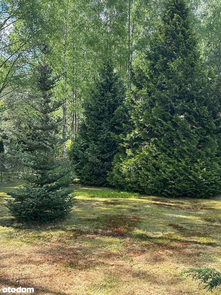 Działka, 937 m², Brzezie - Pełny obrazek: 5/18