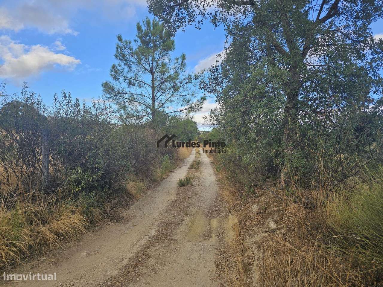 Quintinha com sobreiros-8