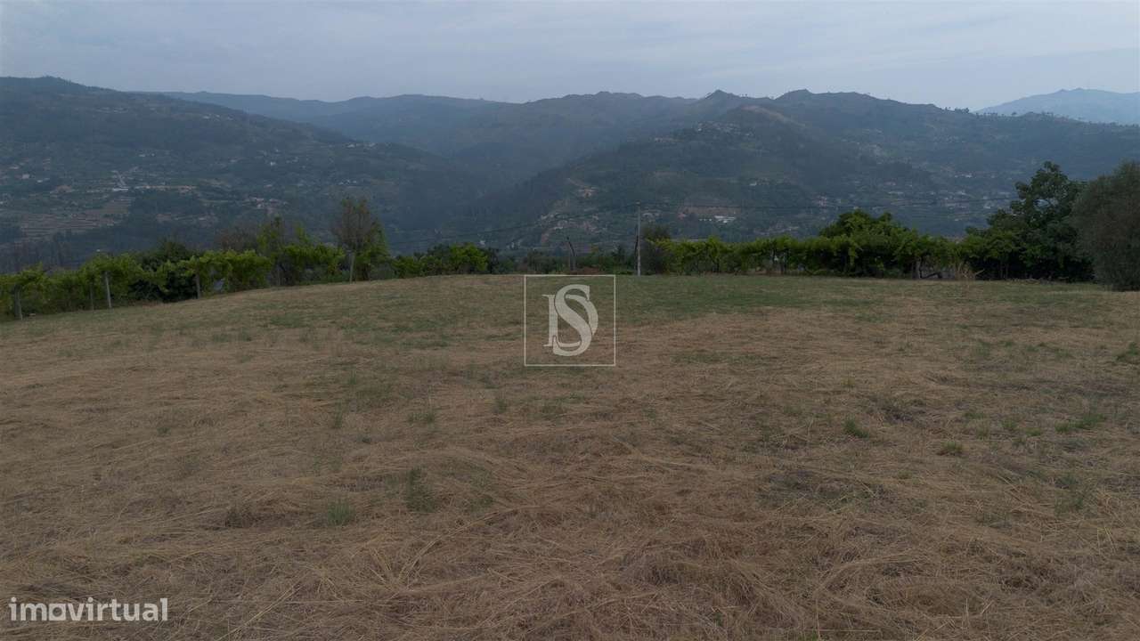 Terreno Para Construção  Venda em Ancede e Ribadouro,Baião-18