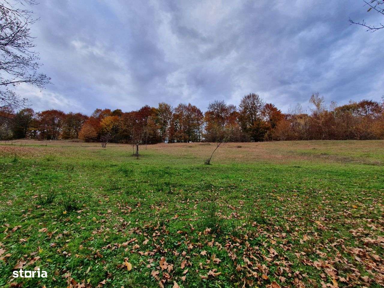 Puciosa Moreni Valea Lunga Sat Izvoru 20000mp teren de vanzare-9